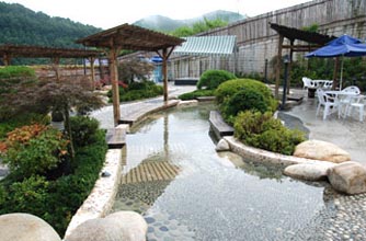 ������ ��������