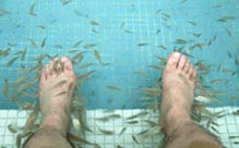 ������ �����ǽ� ü